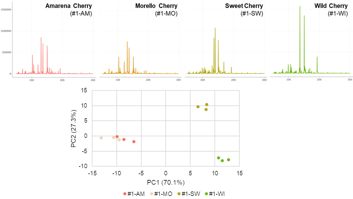 Five charts that show the differenciation of Amarena, Morello, Sweet and Wild Cherry Flavoringss measured by the aroma sensing HaVoc® Sensory System