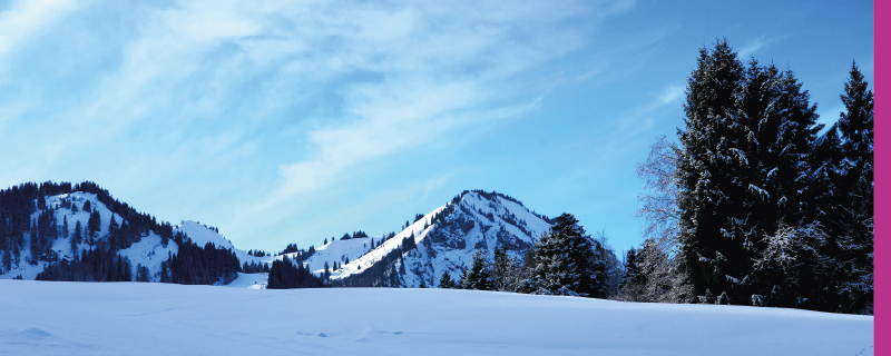 A failed puzzle, a cold night, and a fire stick: How a Plasmion team weekend turned into an unexpected lesson in teamwork and collaboration.