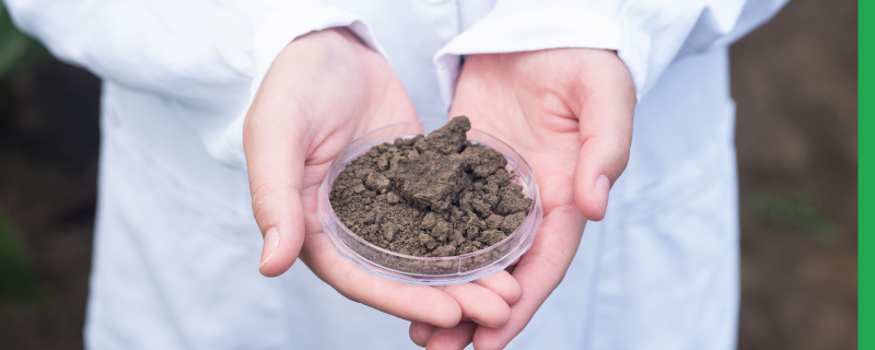 Discover how GC-SICRIT® enables GC-MS/MS pesticide confirmation with LC-MS/MS library matching, soft ionization, and broad coverage.